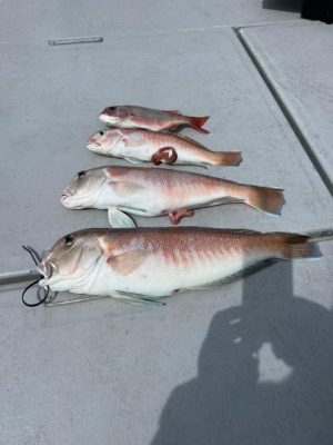 image1_5.jpeg