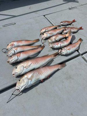 image1_4.jpeg