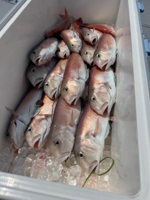 image1_7.jpeg