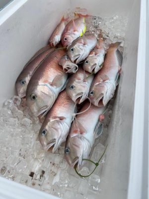 image1_11.jpeg