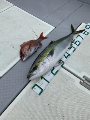 image1_7.jpeg