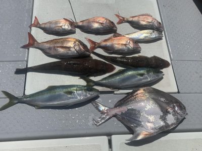 image6.jpeg