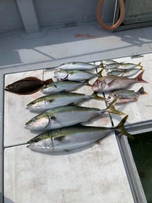image1_4.jpeg