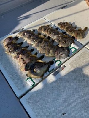 image3_6.jpeg