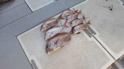 image1_4.jpeg
