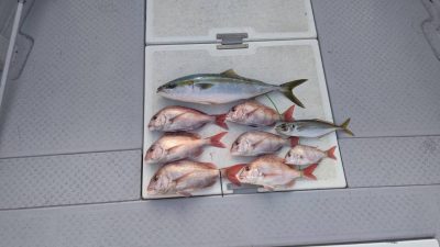 image4.jpeg