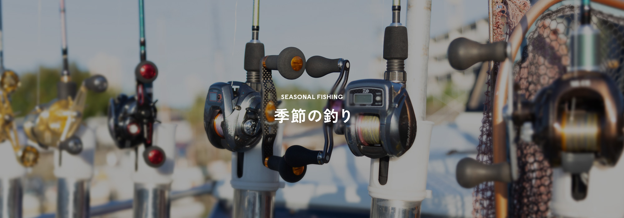 季節の釣り